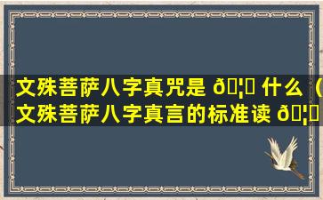 文殊菩萨八字真咒是 🦈 什么（文殊菩萨八字真言的标准读 🦍 法是什么）